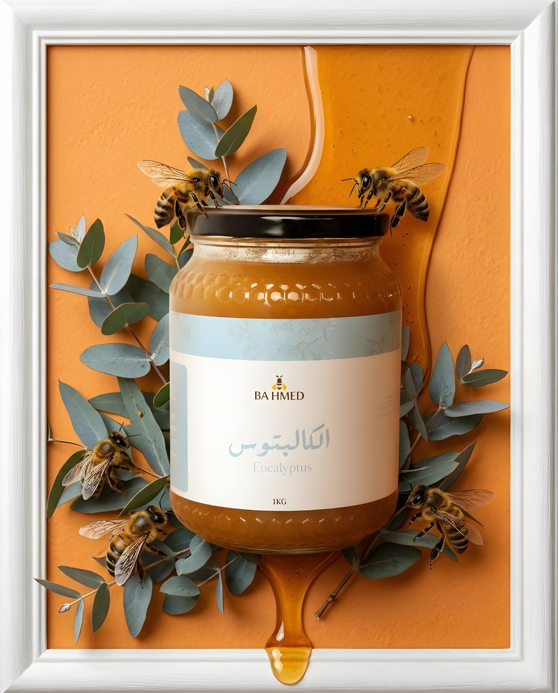 Miel d'Eucalyptus 1KG