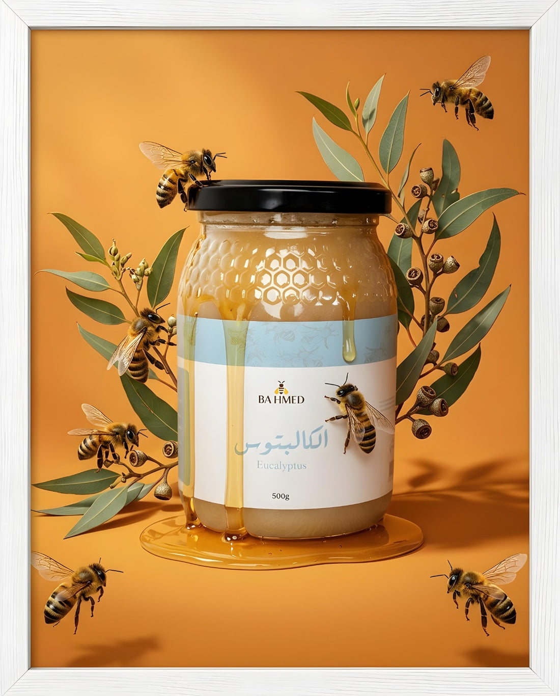 Miel d'Eucalyptus 500g