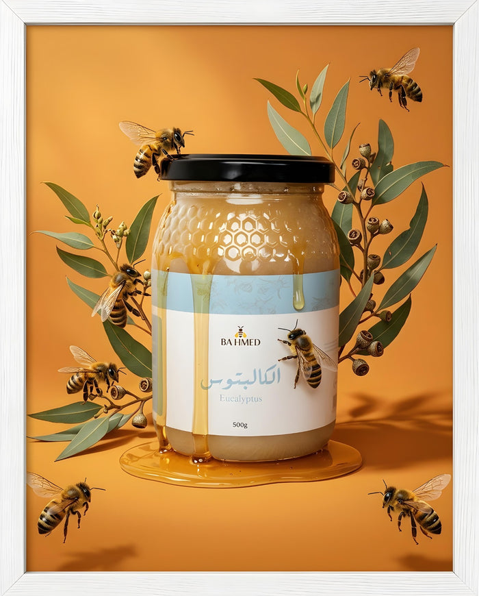 Miel d'Eucalyptus 500g